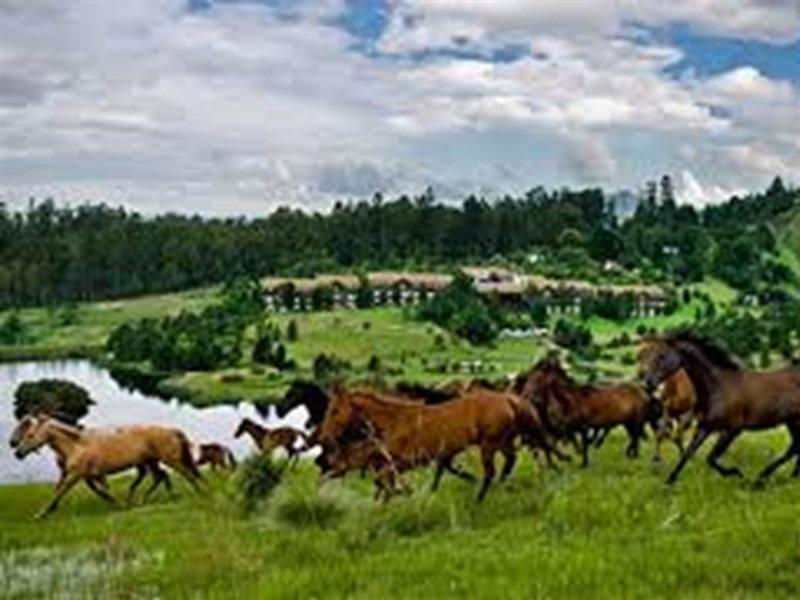 Drakensberg Sun Resort Champagne Valley Exterior photo